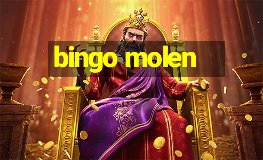 bingo molen