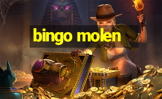 bingo molen