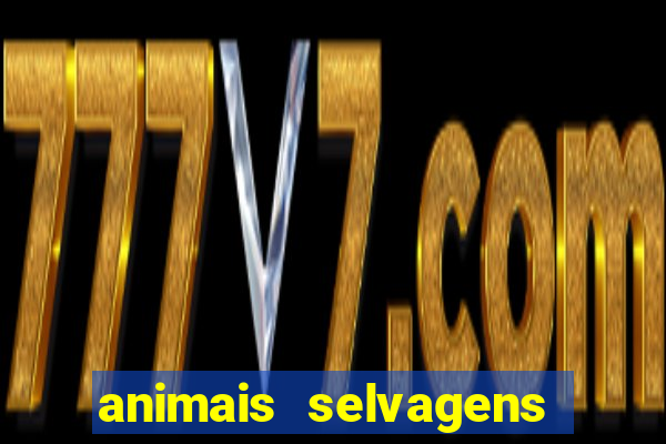 animais selvagens fotos e nomes