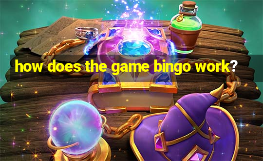 how does the game bingo work?