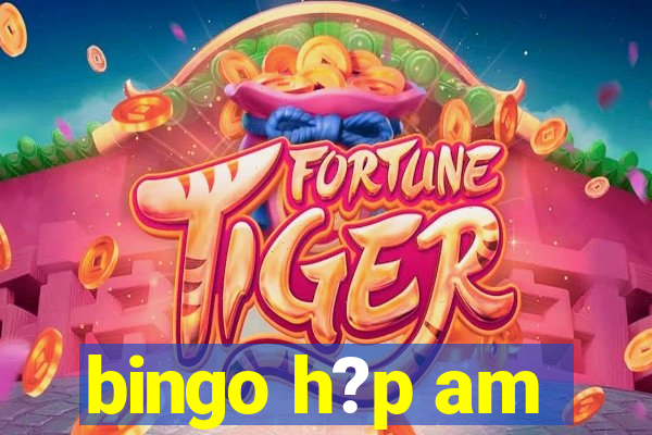 bingo h?p am