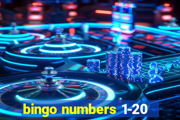 bingo numbers 1-20