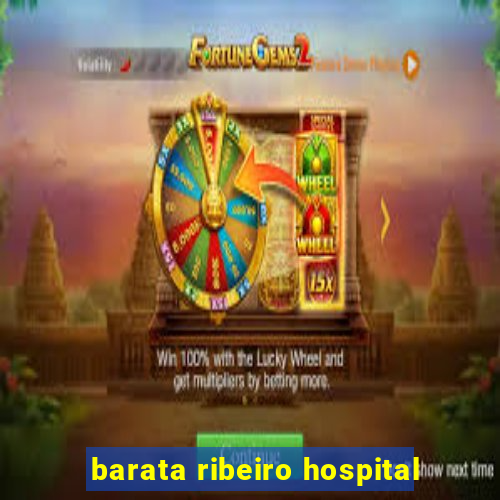 barata ribeiro hospital