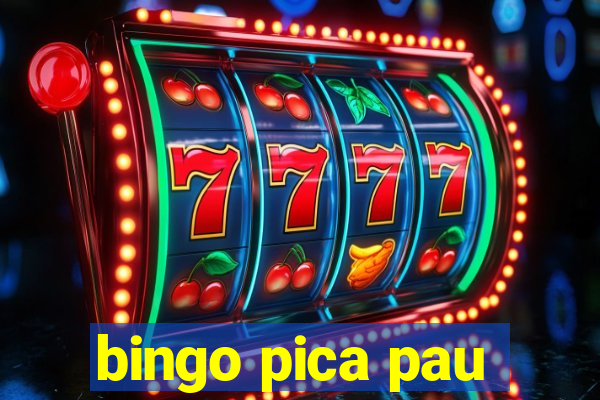 bingo pica pau