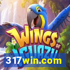 317win.com