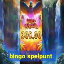 bingo spelpunt