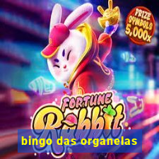 bingo das organelas