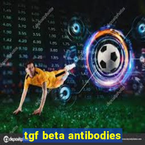 tgf beta antibodies