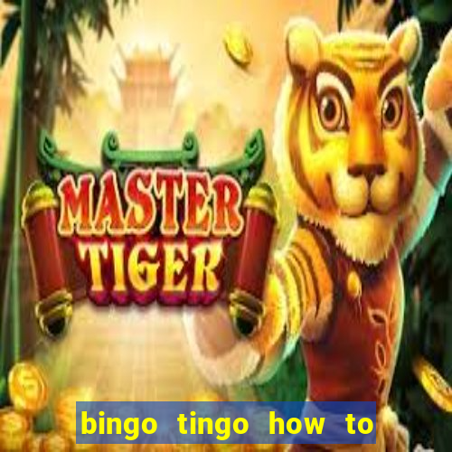 bingo tingo how to use canva