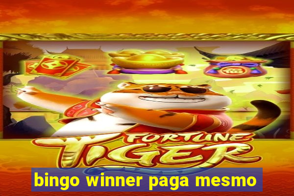 bingo winner paga mesmo