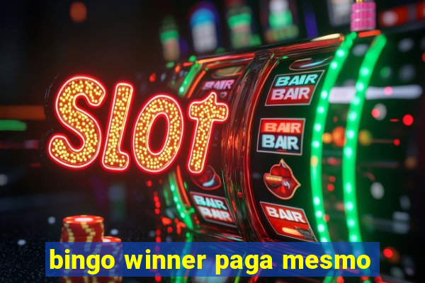 bingo winner paga mesmo