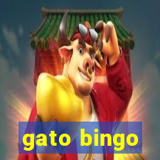 gato bingo