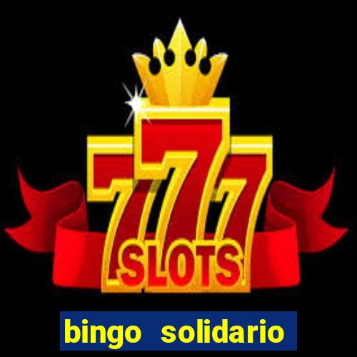 bingo solidario como organizar