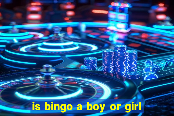 is bingo a boy or girl