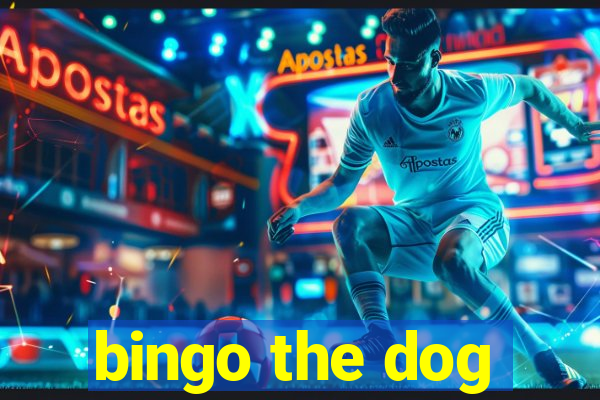 bingo the dog