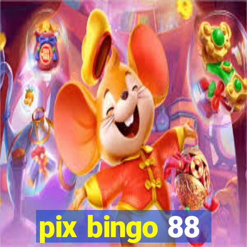 pix bingo 88