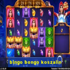 bingo bongo koszalin