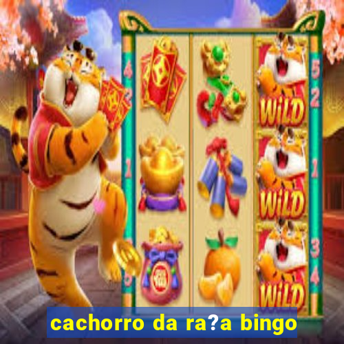 cachorro da ra?a bingo