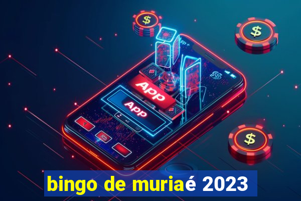 bingo de muriaé 2023