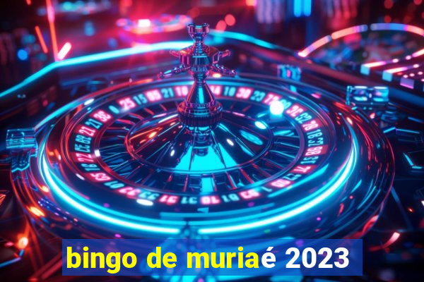 bingo de muriaé 2023