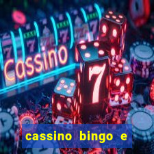 cassino bingo e jogo do bicho